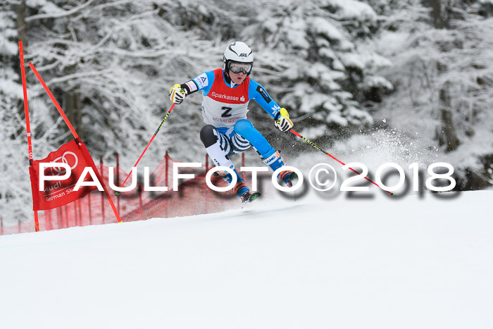 FIS NJR Riesenslalom Herren Lenggries 2.2.2018