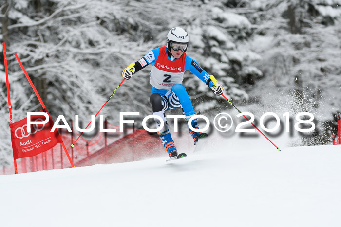 FIS NJR Riesenslalom Herren Lenggries 2.2.2018