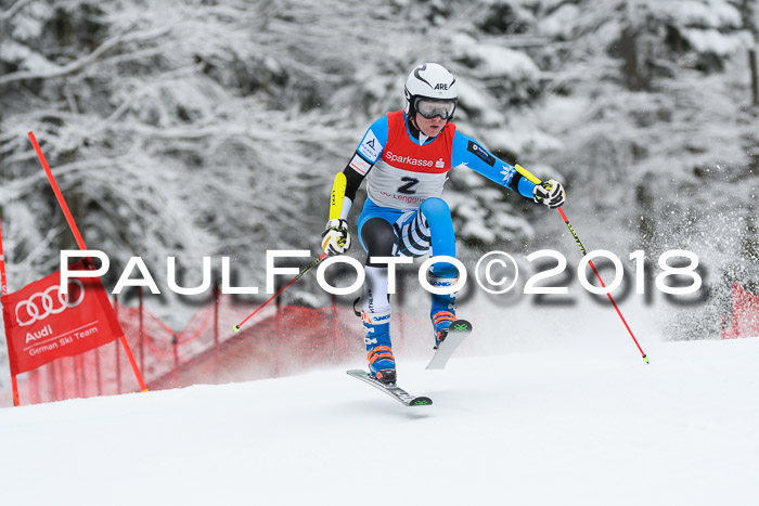 FIS NJR Riesenslalom Herren Lenggries 2.2.2018