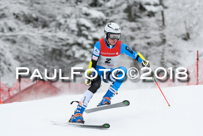 FIS NJR Riesenslalom Herren Lenggries 2.2.2018