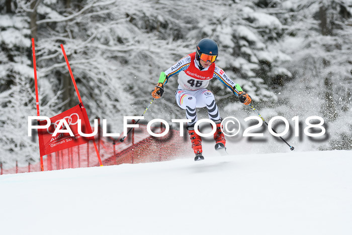 FIS NJR Riesenslalom Herren Lenggries 2.2.2018