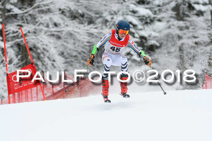 FIS NJR Riesenslalom Herren Lenggries 2.2.2018