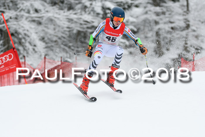 FIS NJR Riesenslalom Herren Lenggries 2.2.2018