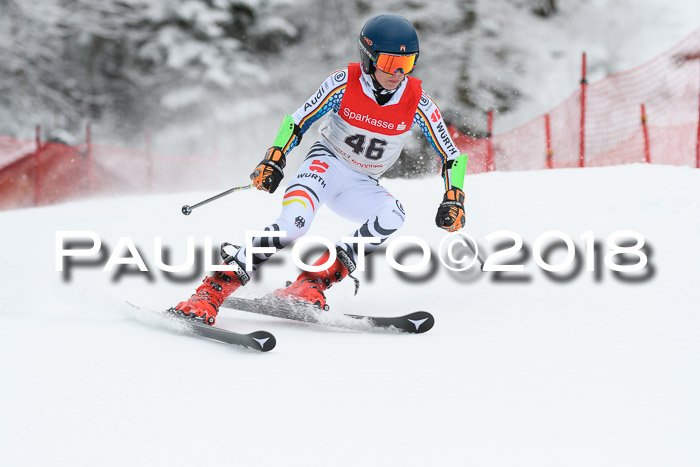 FIS NJR Riesenslalom Herren Lenggries 2.2.2018