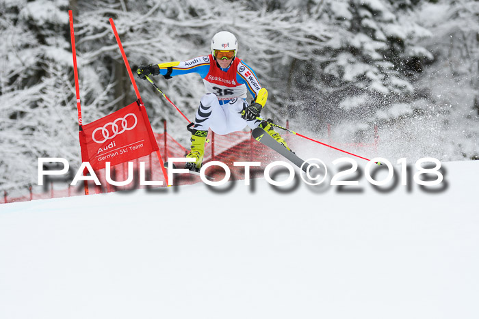 FIS NJR Riesenslalom Herren Lenggries 2.2.2018
