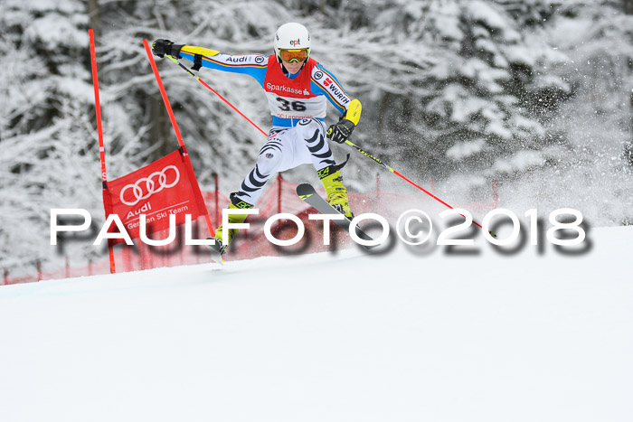 FIS NJR Riesenslalom Herren Lenggries 2.2.2018