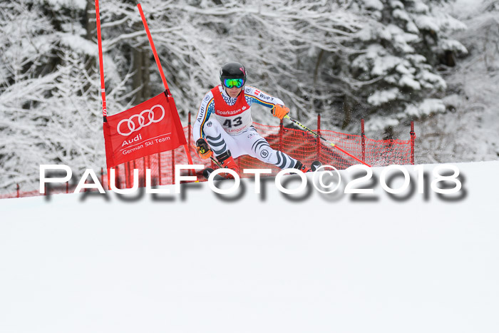 FIS NJR Riesenslalom Herren Lenggries 2.2.2018