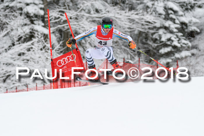 FIS NJR Riesenslalom Herren Lenggries 2.2.2018