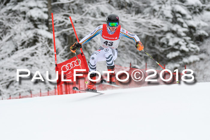 FIS NJR Riesenslalom Herren Lenggries 2.2.2018