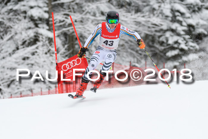 FIS NJR Riesenslalom Herren Lenggries 2.2.2018