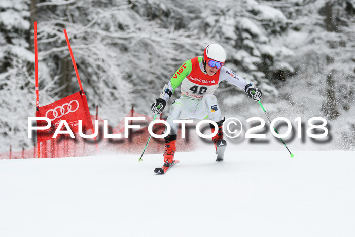FIS NJR Riesenslalom Herren Lenggries 2.2.2018