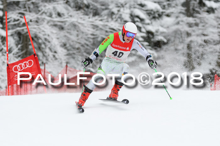 FIS NJR Riesenslalom Herren Lenggries 2.2.2018