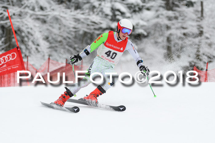FIS NJR Riesenslalom Herren Lenggries 2.2.2018
