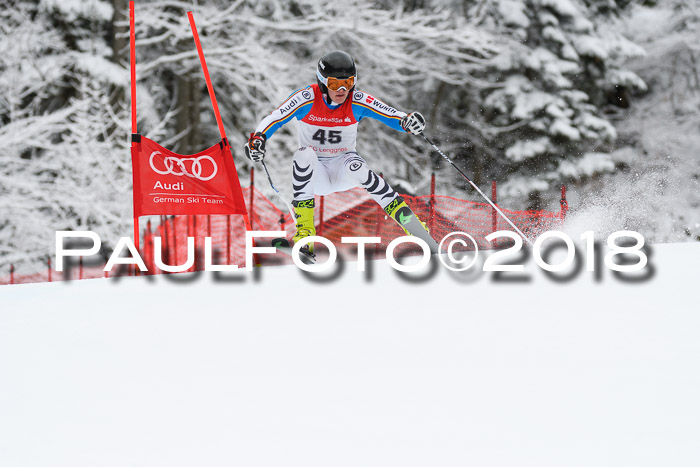 FIS NJR Riesenslalom Herren Lenggries 2.2.2018