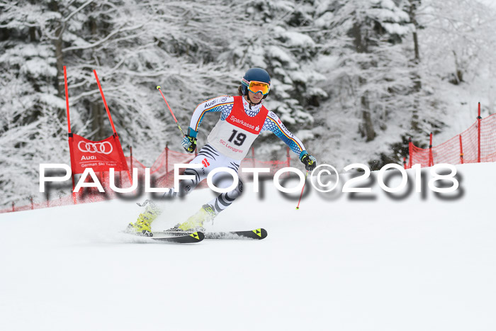 FIS NJR Riesenslalom Herren Lenggries 2.2.2018