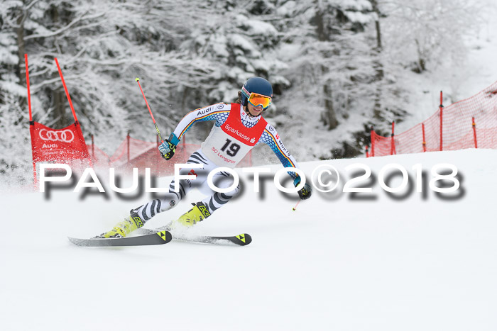 FIS NJR Riesenslalom Herren Lenggries 2.2.2018