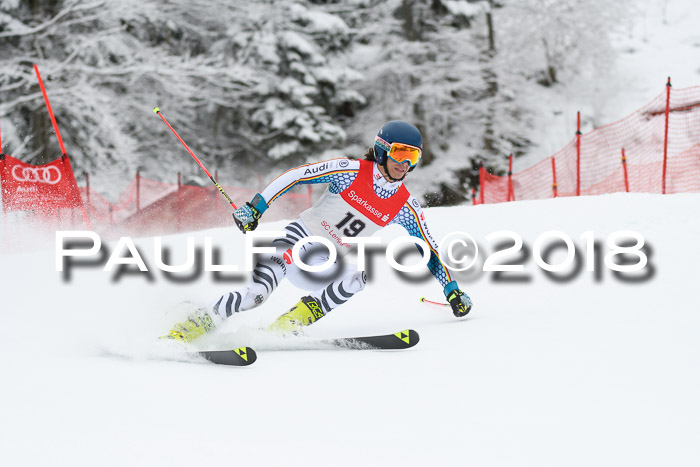 FIS NJR Riesenslalom Herren Lenggries 2.2.2018