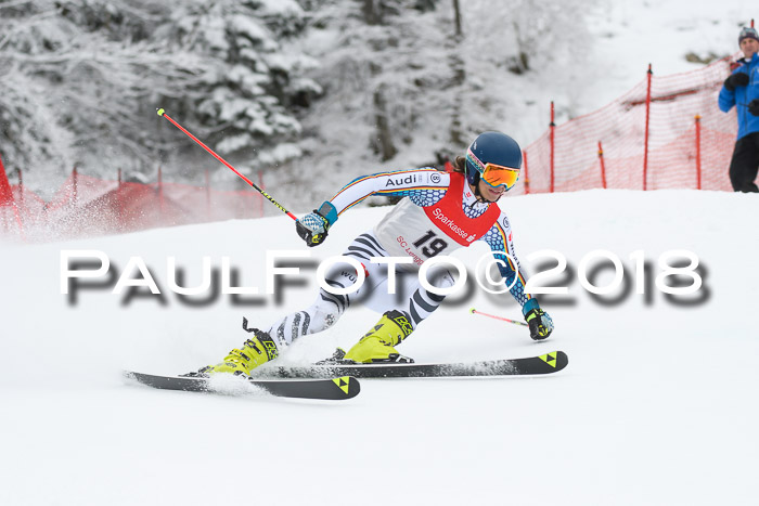 FIS NJR Riesenslalom Herren Lenggries 2.2.2018