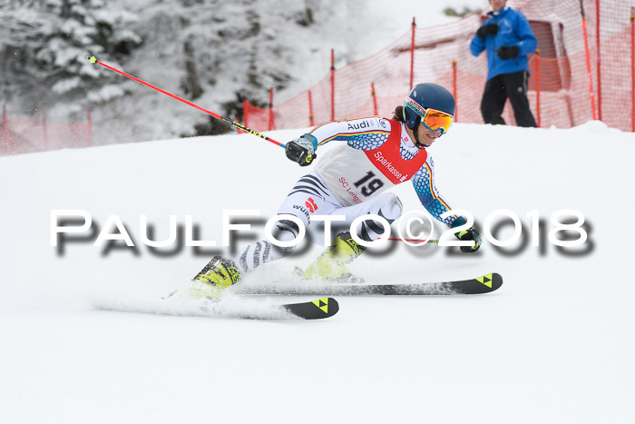 FIS NJR Riesenslalom Herren Lenggries 2.2.2018