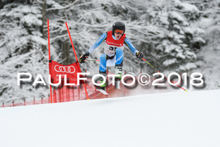FIS NJR Riesenslalom Herren Lenggries 2.2.2018