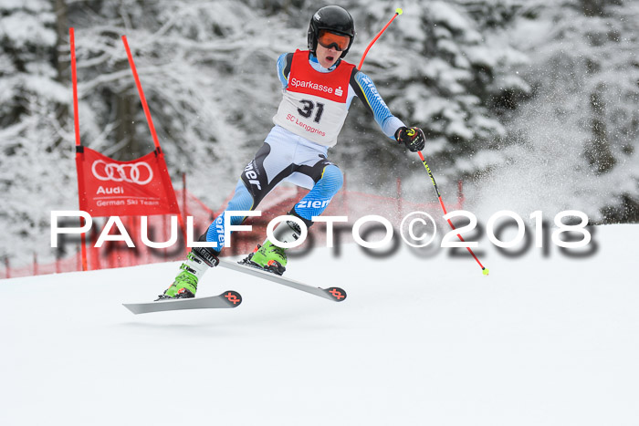 FIS NJR Riesenslalom Herren Lenggries 2.2.2018
