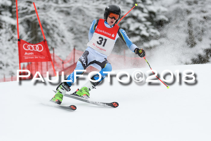 FIS NJR Riesenslalom Herren Lenggries 2.2.2018