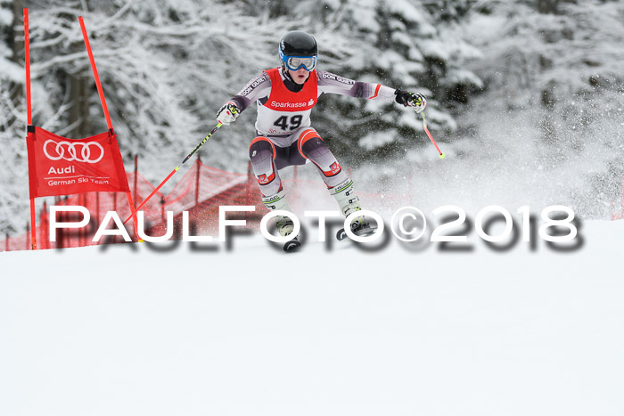 FIS NJR Riesenslalom Herren Lenggries 2.2.2018