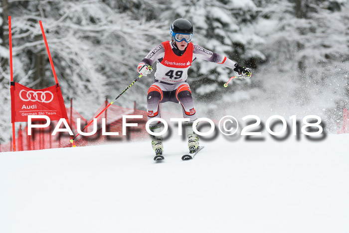 FIS NJR Riesenslalom Herren Lenggries 2.2.2018