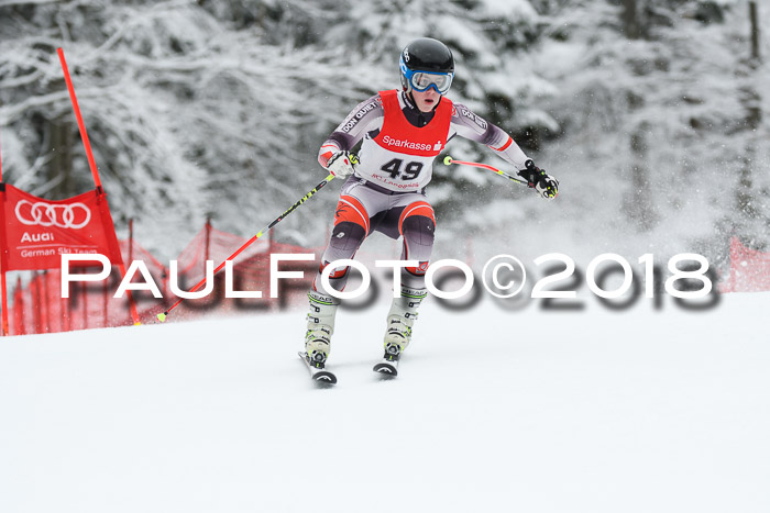 FIS NJR Riesenslalom Herren Lenggries 2.2.2018