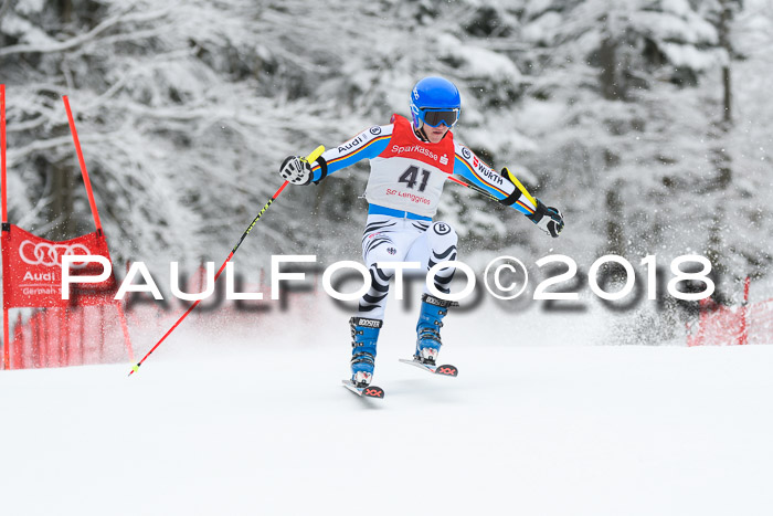 FIS NJR Riesenslalom Herren Lenggries 2.2.2018