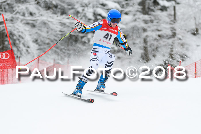 FIS NJR Riesenslalom Herren Lenggries 2.2.2018