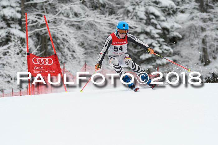 FIS NJR Riesenslalom Herren Lenggries 2.2.2018
