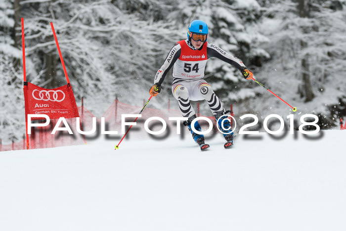 FIS NJR Riesenslalom Herren Lenggries 2.2.2018