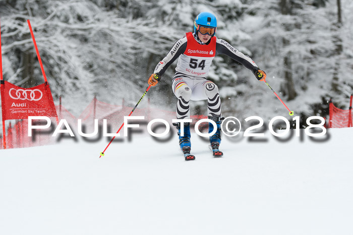 FIS NJR Riesenslalom Herren Lenggries 2.2.2018