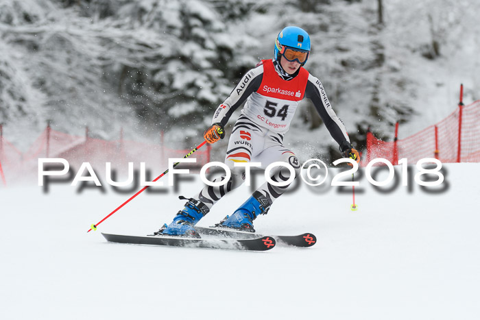 FIS NJR Riesenslalom Herren Lenggries 2.2.2018