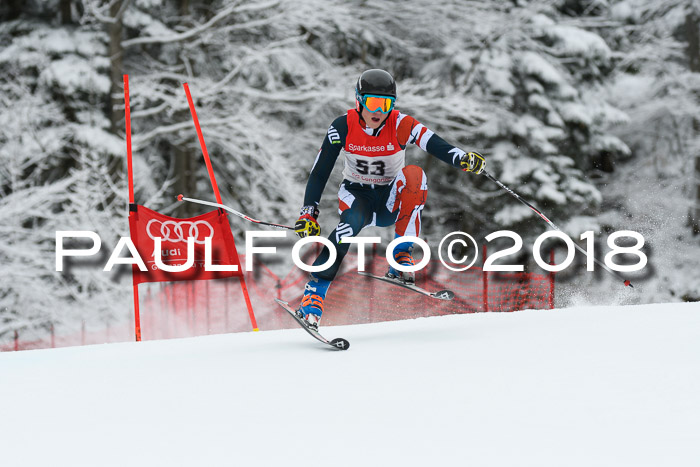 FIS NJR Riesenslalom Herren Lenggries 2.2.2018
