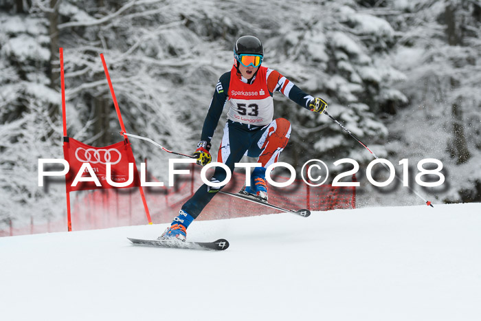 FIS NJR Riesenslalom Herren Lenggries 2.2.2018