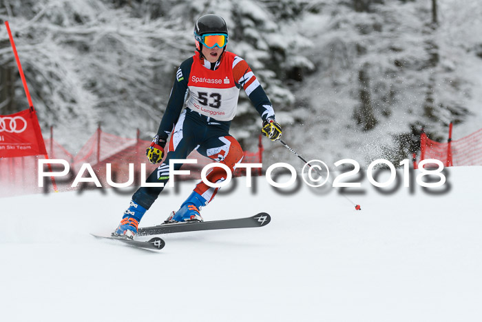 FIS NJR Riesenslalom Herren Lenggries 2.2.2018