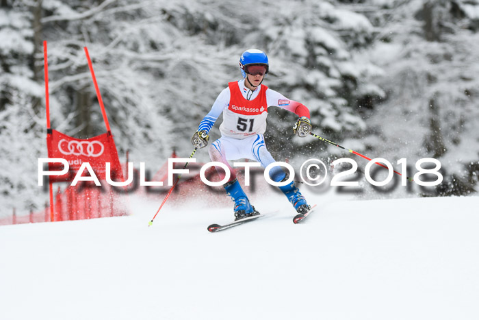 FIS NJR Riesenslalom Herren Lenggries 2.2.2018