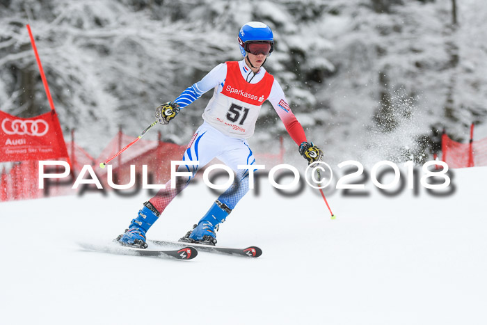 FIS NJR Riesenslalom Herren Lenggries 2.2.2018