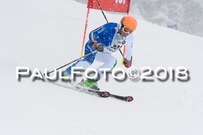 Münchner Skimeisterschaft 2018