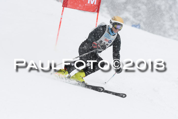 Münchner Skimeisterschaft 2018