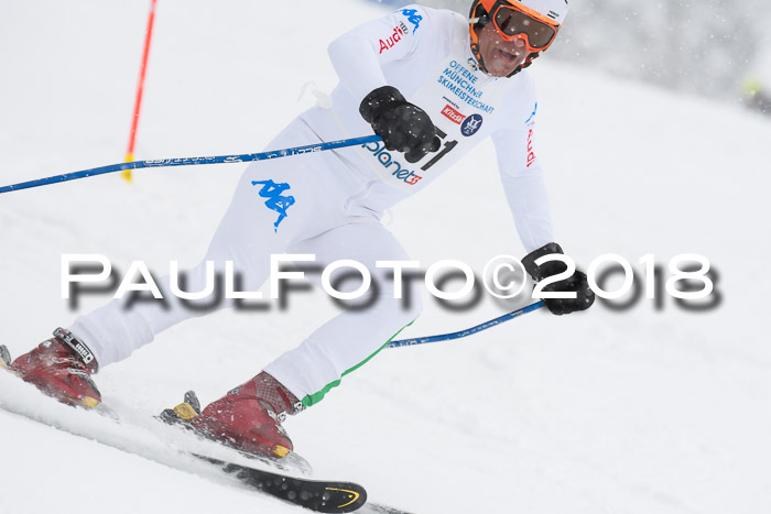 Münchner Skimeisterschaft 2018