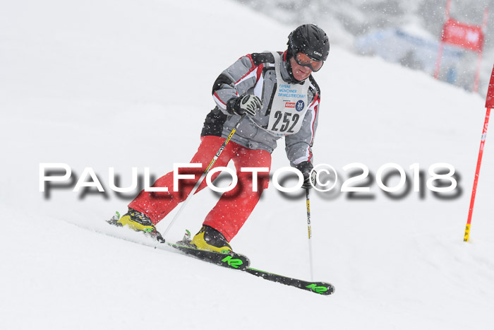 Münchner Skimeisterschaft 2018