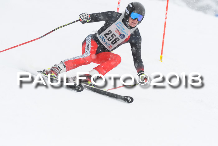 Münchner Skimeisterschaft 2018