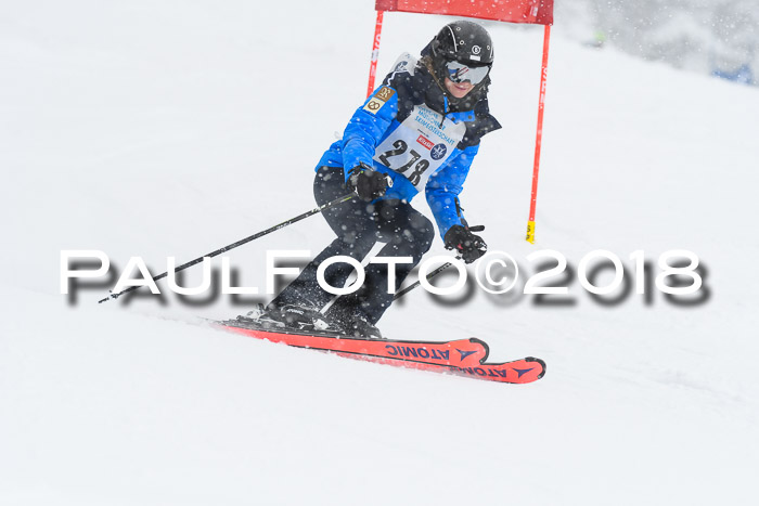 Münchner Skimeisterschaft 2018