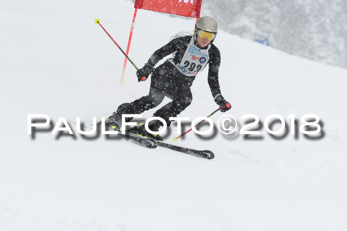 Münchner Skimeisterschaft 2018