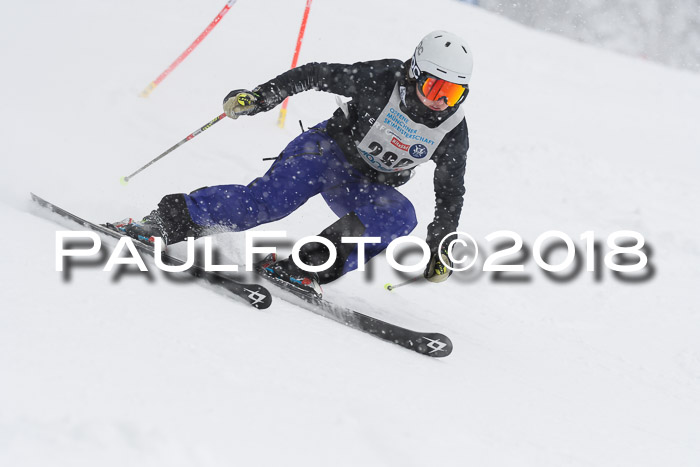 Münchner Skimeisterschaft 2018