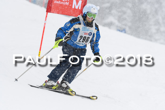 Münchner Skimeisterschaft 2018