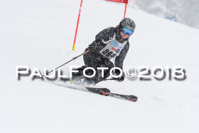 Münchner Skimeisterschaft 2018